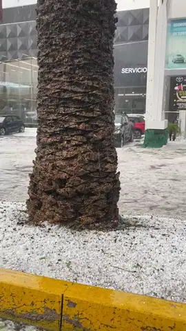 Usuarios en redes sociales comparten videos de las inundaciones que dejó la lluvia con granizo en la Avenida Serdán, Puebla.