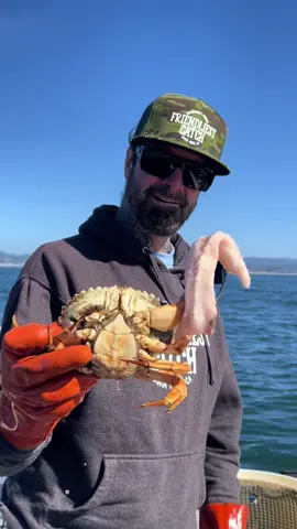 Injured Crab, a look inside a Crabs body watching its gills work. Commercial Crabbing and fishing in the Monterey Bay Santa Cruz, California #fyp #crab #seafood #oceanlife #friendliestcatch #natgeo  🎥 @BarnaclEric @DavidB 