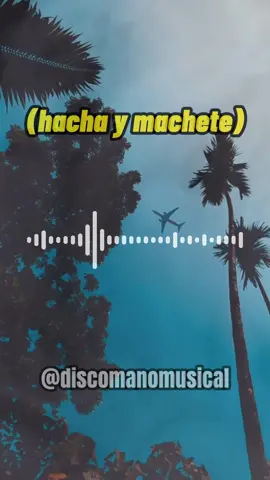 Hacha y Machete🔥🕺| #hectorlavoe #hachaymachetehectorlavoe #salsa #salsabaul #cancionesparaestados🔥♥️🎶 #parati 