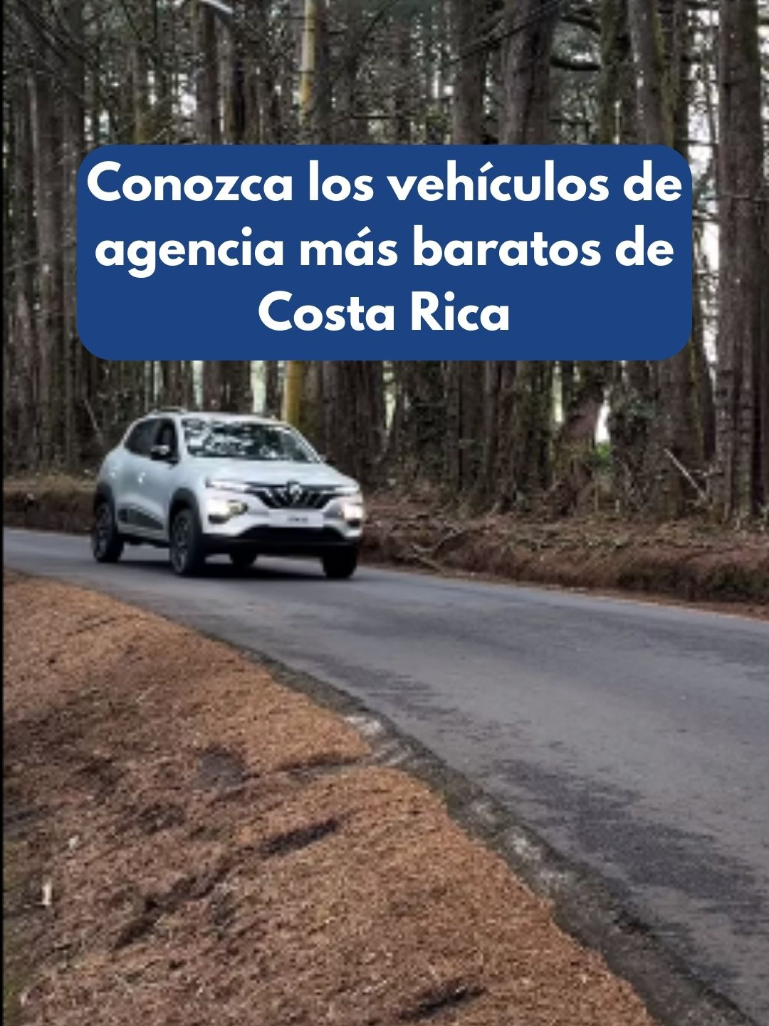 Con precios que van desde los 16.900 dólares, estos tres vehículos son una gran opción para los que buscan estrenar un carro compacto sin comprometer su presupuesto. 🚗💵 #Vehículo #Precio #CostaRica #Toyota #Renault #Dongfeng