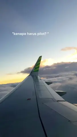 #capcut  karena udh cita cita dari kecil dan harus tercapai, bissmillah #aviation #fyp 