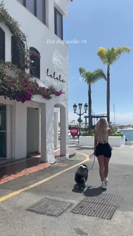 Bestie 🤍 #hotdogwalk #spain #fyp 
