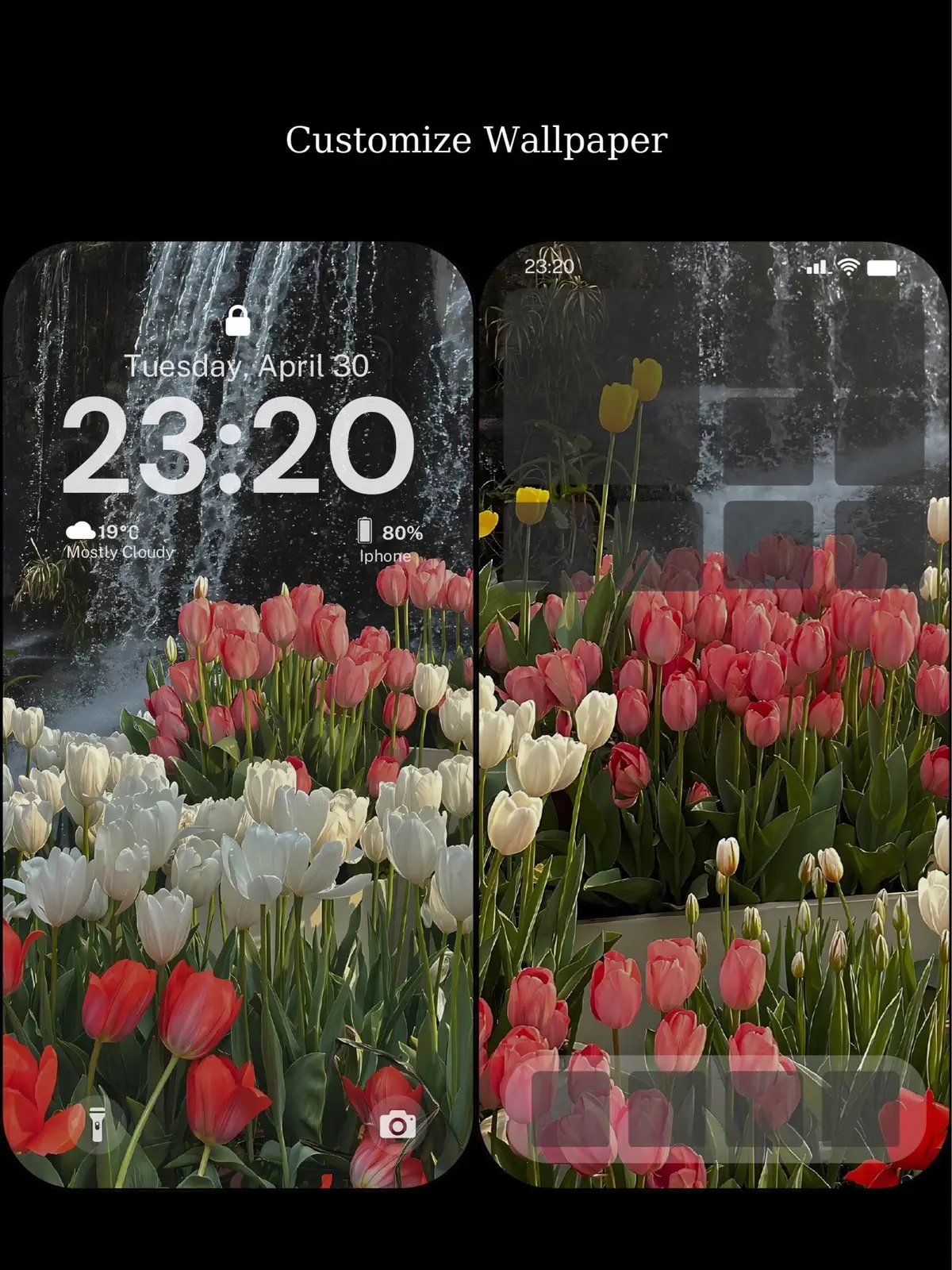 #wallpaper #hinhnen #iphone #dienthoai #xuhuong #fyp #xuhuong2024 #tulips #flowers 