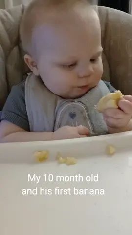 My son got his 1st tooth this week, he's almost 11 months old! We gave him some ice cream to celebrate it a couple days ago and now a banana which he was enjoying so much!