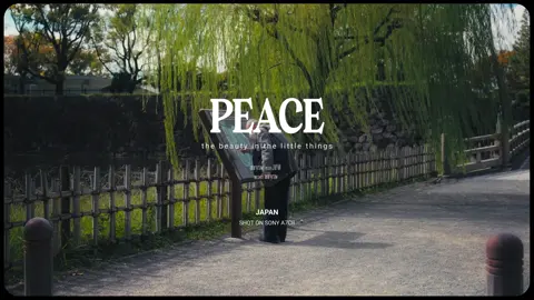 a peaceful life in japan  📷 : Sony A7cii  #cinematicvideography #streetphotography #sonyalpha #cinematic #film #colorgrading  #davinciresolve #aesthetics #filmmaker #filmphotography #cinematography #colorgrade 