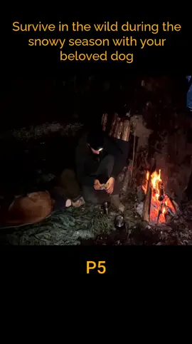 Survive in the wild during the snowy season with your beloved dog  #survival #build #dog #nature #like