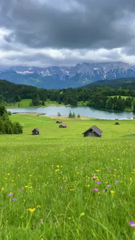 Tranquil alpine meadow 🌸 #bavaria #germany #deutschland #nature #mountains #landscape #peaceful 