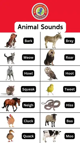 Animal Sounds | English Lesson Follow @wonderfulworldenglish for more! #English #ESL #viral #animal #vocabulary #teacher #class #school