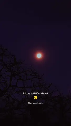 A lua quando brilha fala de amor #djluangomes  #musica #music #statusmusica #foryou @DJ Luan Gomes 