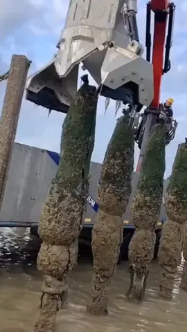 Removing barnacles 🐚 #engineering #mechanicalengineering #howitsmade #mechanism #engineers #engineeringlife #engineeringlovers #engineeringporn #mechrec #engineer #trending #trendingaudio #chrisburke 
