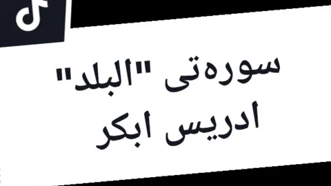 سورة البلد  #quran #foryou #ادريس_ابكر #🖤 