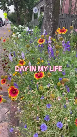 A FUN day in my life living in Nashville running my digital marketing agency 💗💗 #nashville #dayinthelife #Vlog #nashvilletn #workingremote #BakeWithMe 