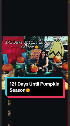 🎃🍂🎃🍂🎃🍂🎃🍂🎃🍂🎃🍂🎃#pumpkin #pumpkinspice #autumn #halloween2024 #halloween #spookyseason #pumpkinseason #autumnseason 