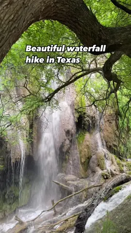 📍Gorman Falls at Colorado Bend State Park is looking spectacular right now!🥾  The park offers fantastic hiking, camping, and stunning views, including the impressive Gorman Falls. Located just 1.5 to 2 hours from Austin, it's absolutely worth the drive. With over 35 miles of trails and activities like kayaking and fishing on the Colorado River, there's something for everyone. If you haven't visited yet, it's a must-see destination.  Reservations are highly recommended for camping and day access. Dogs are welcome but must be kept on a leash.  #texas #lampasastx #atx #coloradobendstatepark #texashiking #waterfall 