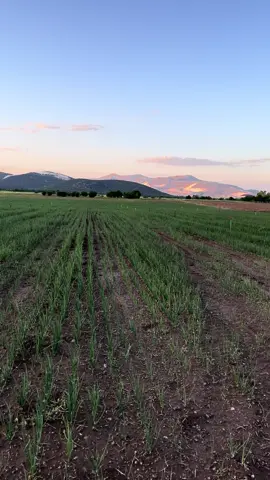 #şampiyonlarligi #yaparsaefehantarımyapar #burdur batı akdenizden karamanlı 