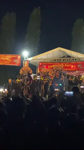 Rame rame😅 nyamboyo 1977🔥 #samboyoputro #jaranan #jaranantiktok #jawatimur #budoyojawi #jawatimur #jarananviral #fyp #fypシ゚viral #fypシ #f #swjaranan #storyjaranan 