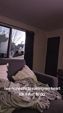 #cats #cat #catsvideo #cattok #cutecat #catsoftiktok #catlover #foryoupage #foryou #fyp 