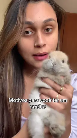 manda o vídeo pra quem vai te dar um coelhinho ❤️ #coelho #conejo #petsoftiktok #bunny