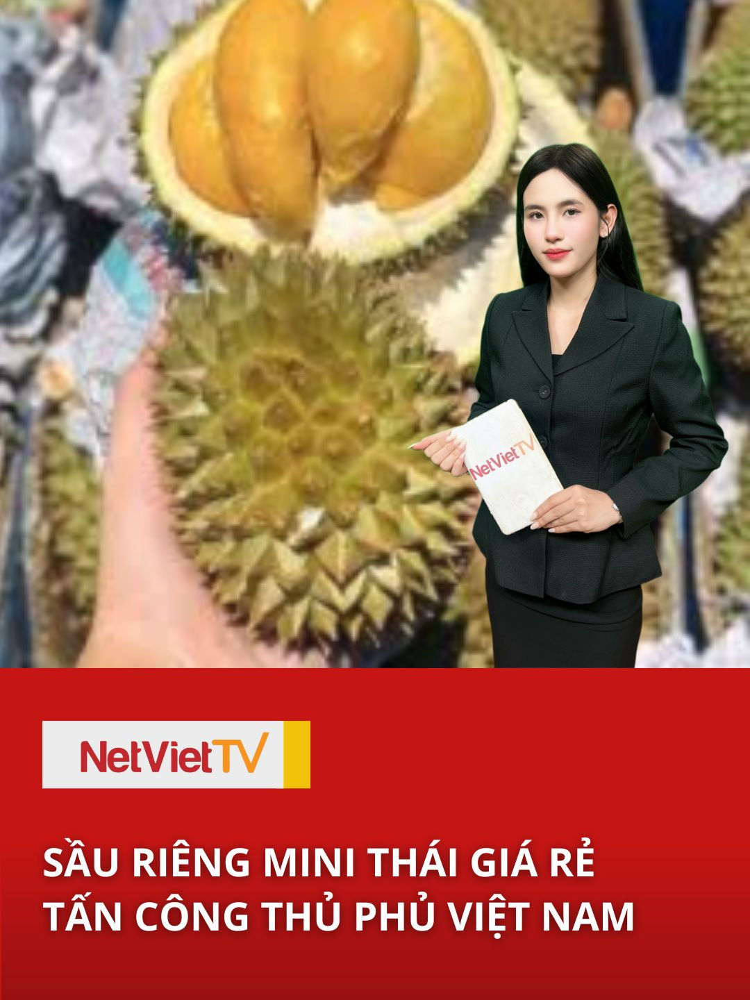 SẦU RIÊNG MINI THÁI GIÁ RẺ TẤN CÔNG THỦ PHỦ VIỆT NAM #netviettv #tintuc24h #tintuc #tinnongtrongngay #Hóng