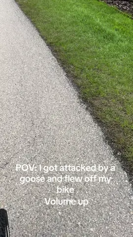 lesson learned- i know i was in the wrong here and wont go near the babies again. But this video is too funny not to share. #gooseattack #bikecrash #crying  @WooGlobe Verified (Original) *For licensing / permission to use:                             Contact - licensing(at)WooGlobe(dot)com