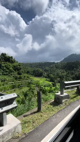 Setiap lewat jalan ini, berasa healing 😍⛰️🌿🌴🍃  #fypシ゚viral #karangasembali #berina 