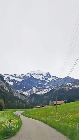BEAUTIFUL SWITZERLAND🇨🇭 #SWITZERLAND #swiss #schweiz #szwajcaria #swissroads #mountain #landscape #swissnature #fy #dlawas #dc #foryoupage #furdich 