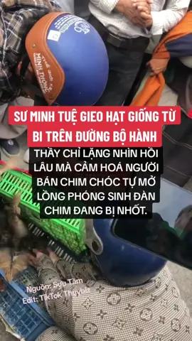 Thầy Minh Tuệ cảm hoá người bán chim tự nguyện phóng sinh đàn chim. #phatphapnhiemmau #thichminhtue #thichminhtuemoinhat #minhtue #thíchminhtuệ 
