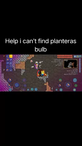 i cant find planteras bulb #plantera#boss#find#jungle#terraria