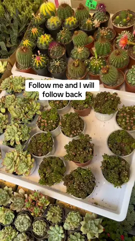 #followtrain #teamwork #follow #10k 