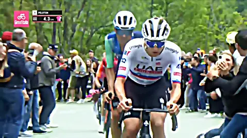 Giro Pogacar🤯//#4u #fyp #foryoupage #viral #larsverboven #tadejpogacar #ready ##straffecomback #vibes #cycling #dream #work #fenomenal #respect #history #cyclinglife #cyclingvideos 