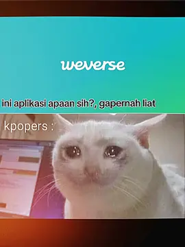bangga sendiri pernah ngerasain era weverses/vlive:)💌 #weverses #vlivekpop #kpop #mulfand #foryoupage #fypシ #fypシ #mosst? #4u #foryou #fyp #fyppppp 