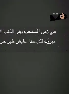 🦅🦅🦅🦅🦅
