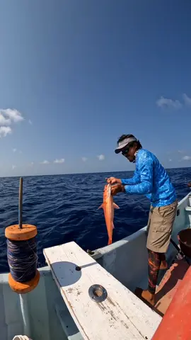 Practicando Jigging a 900 pies, intentando capturar Huachinango seda o Queen snapper. #puntaallenfishing #caribefishing #vigiachico #puntaallenmexico #CaribeMexicano #puntaallen #Jigging #slowpitchjigging #deepjigging #jiggingfishing #jigginglife 