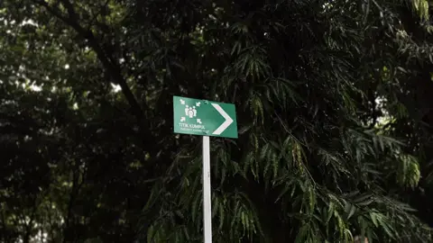 #CapCut sinematik landscape slowmo kece #trend #sinematik #cinematic #cinematicvideo #fypシ゚viral #xyzbca #landscape 