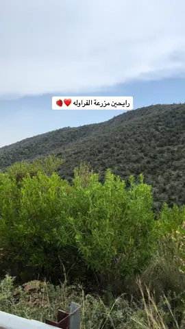 يحلو المكان🥺♥️#السوده #ابها #تصويري #اكسبلور 