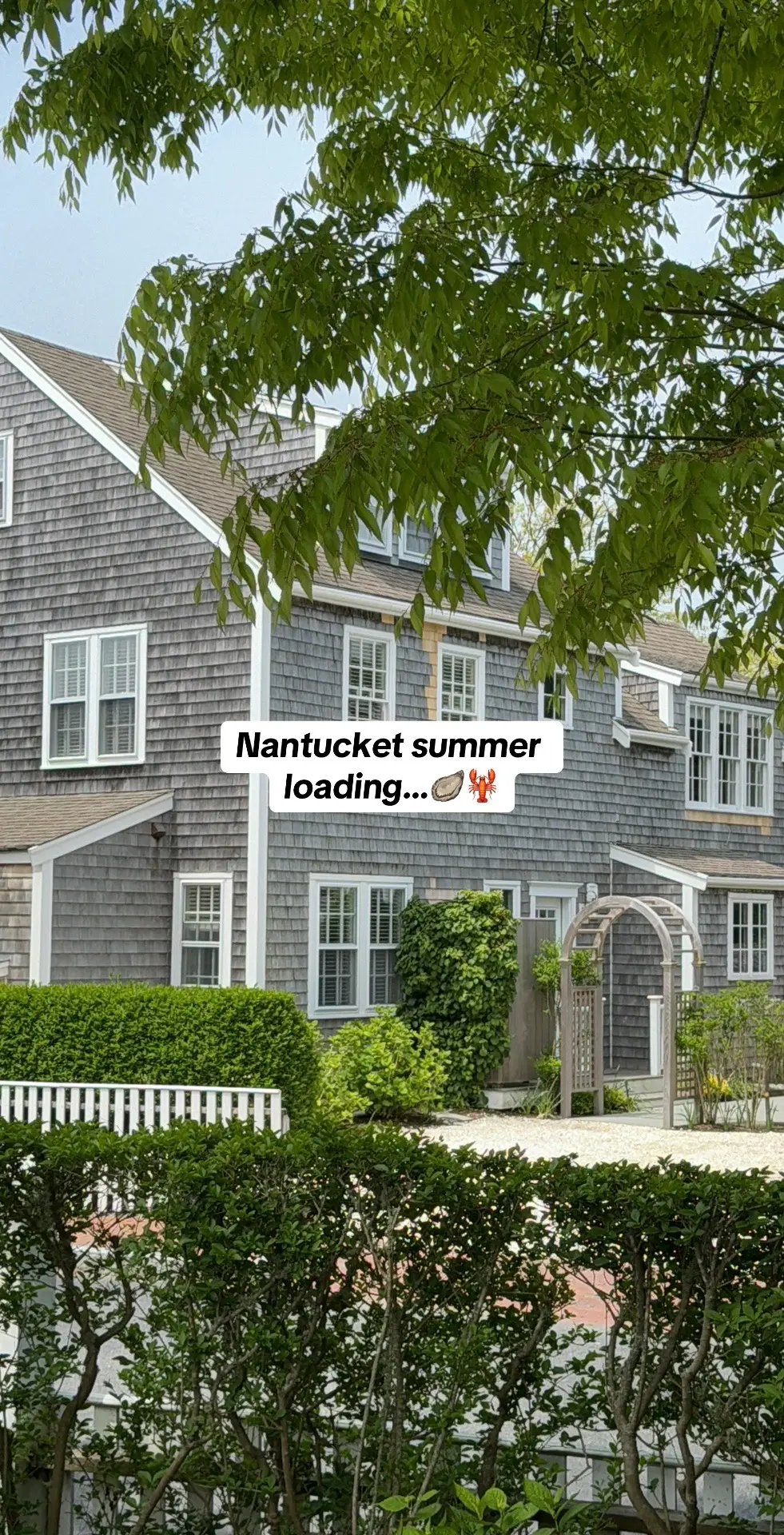 Just straight vibes #nantucket #summervibes 