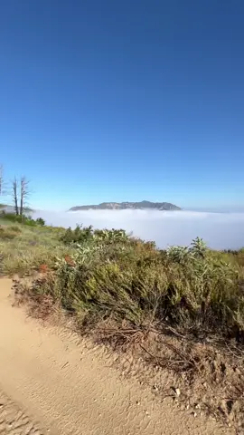 Another great day above the clouds!  #Hiking #Running #trailrunning #Fitness #foryou #audiorunner #ultrarunning #maygrey #southerncalifornia 