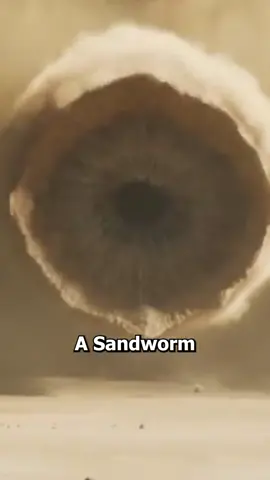 Life of a Super Commuter #dune #sandworm #movies #film #work #supercommuter 