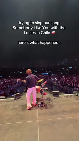 loved every second of it 🫶 #chile #giantrooks #louistomlinson #OnTour #somebodylikeyou