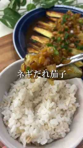 『ネギだれ茄子』 詳しいレシピはInstagramに載っています🍳 是非チェックしてもらえると嬉しいです♡ #15分#15分レシピレシピ #ズボラレシピ #茄子 #ネギ #男子飯
