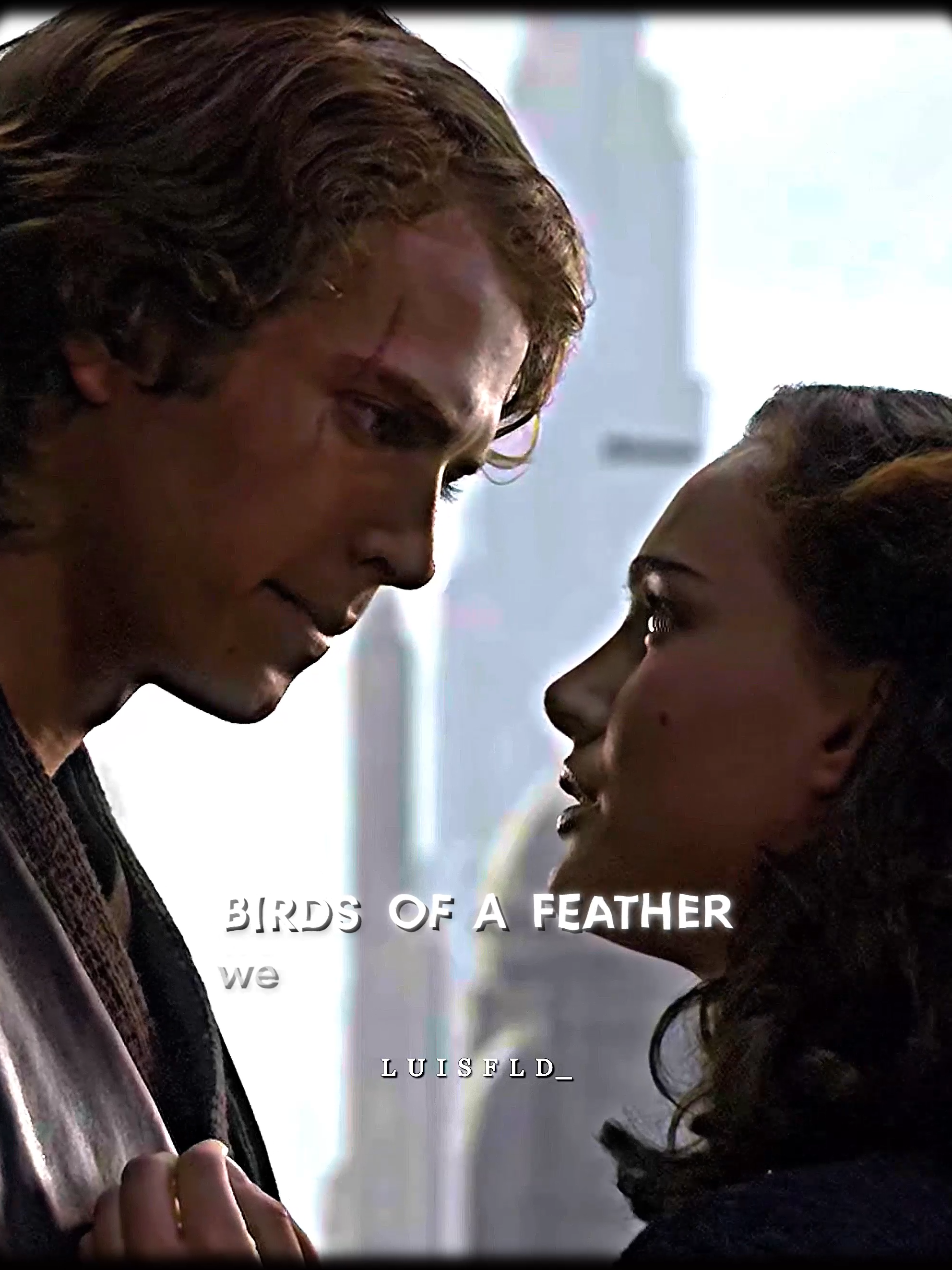 Birds of a feather, we should stick together... #starwars #anakinskywalker #padmeamidala #birdsofafeather #foruyou #fypシ゚ #viral