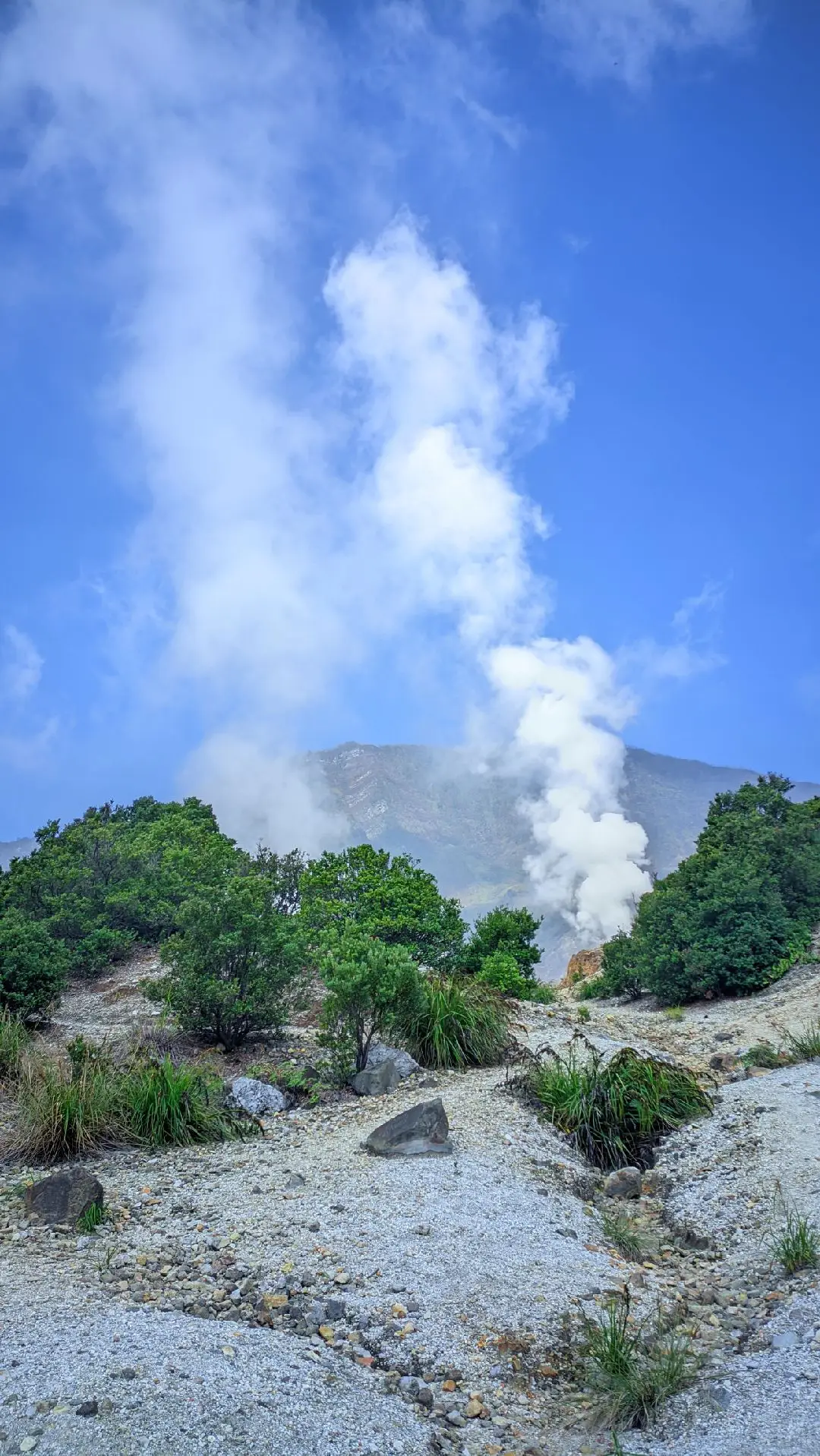 Config: 🕴️Colour By Lmcmyanmar  #gcamlmc #configgcam #gcamindonesia #gcammgc #gcambsg #phonefotograpy #gcamnikitav2 #pendaki #gunungpapandayan #papandayan 