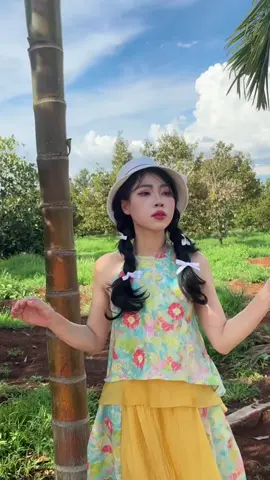 Bộ ảnh mới.#xuhuong #xuhuong 