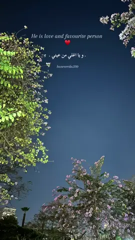 #ramy_gamal #ramygamal #zay_el_shams #Ramy_Gamal #fypシ゚viral #fypシ゚ #explore #♥️ 