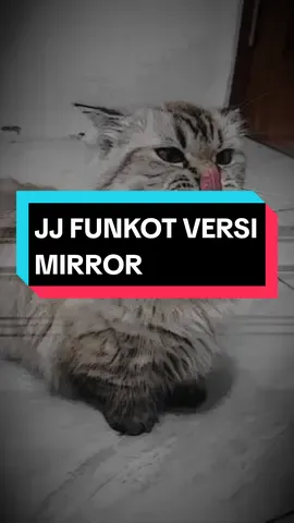 JJ funkot versi mirror 🗿🤙 #CapCut #jjfunkot #mirror @dj_ima_cencremen_ @arief_anggaraasyikbosss @azam [FK] @𝙁𝙖𝙩𝙩𝙖𝙝 [𝙅𝙍] @mazz_jun_99 
