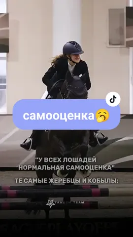 А разве не так?🥱✨#showjumping #рекомендации #tandemteam #equstrian #fyp #on #elbruso 