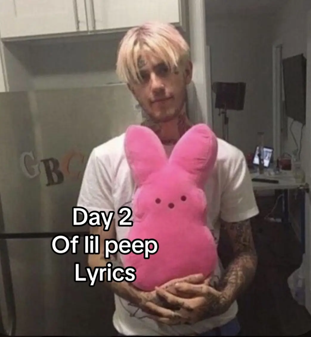 Changed it its lyrics now not song #fyp #lilpeep #Love 