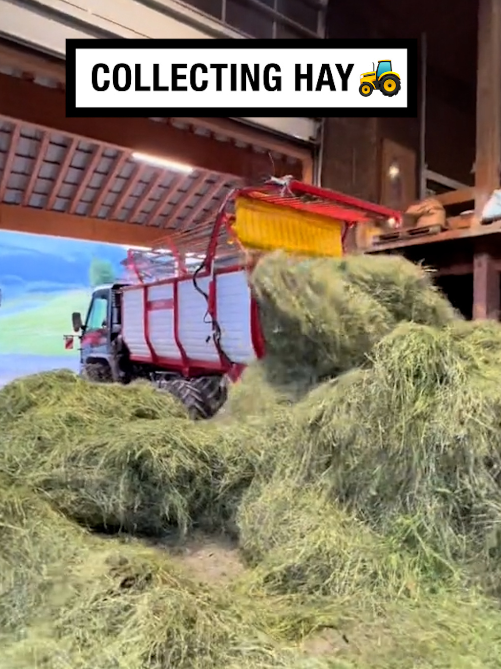 They're like giant vacuum cleaners! 😮🤣 🎥 @swissmeli  #UNILAD #farm #farmlife #farming #hay #machine #heavyequipment #vehicle #tech #techtok #technology #process #satisfying #asmr