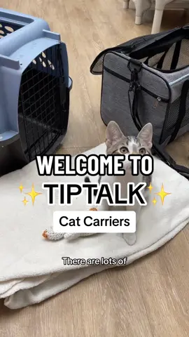 Cat carrier 101: How to Introduce one to your cat, and how to put your cat into one! 🐱 #catcarrier #cattips #tiptalk #cathelp #catownertips #catcarrierhelp 