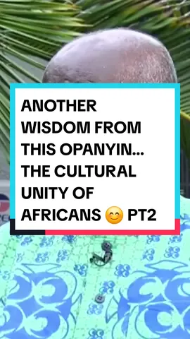 All Africans should watch this while this elder explains why all Africans are his people. #northafrican #eastafrica #westafrica #southamerica #africanamerican #cotedivoire🇨🇮 #togo #cameroontiktok🇨🇲 #diaspora #india #nigeria #ghanatiktok🇬🇭 #congo #africa #africans #africantiktok 